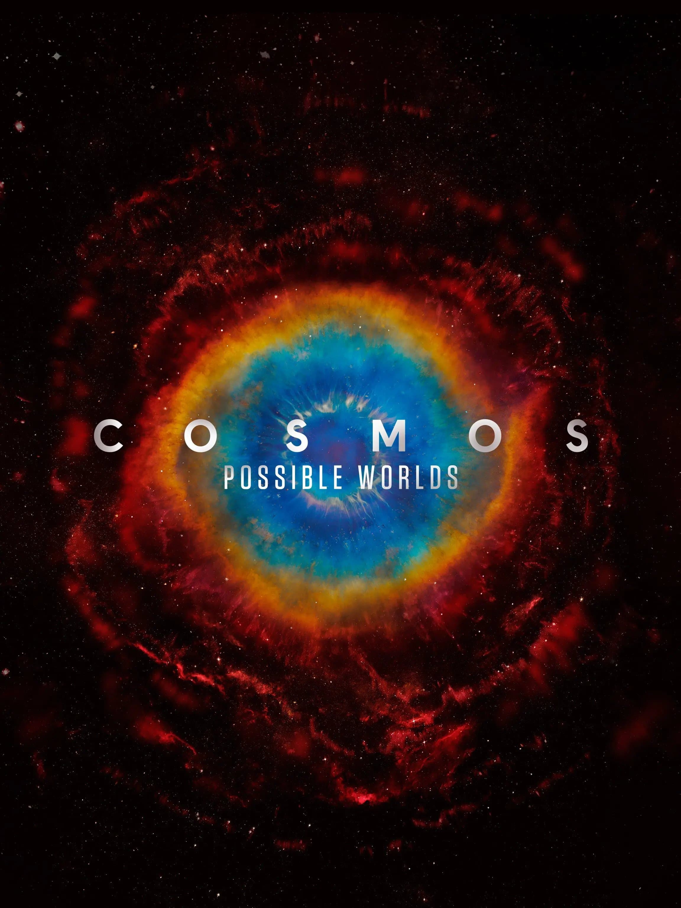 Cosmos: A Spacetime Odyssey cover art